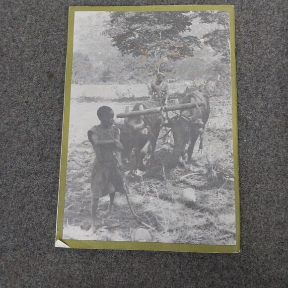 Zimbabwe 1976 & 1978 ZANU & UANC Revolution Africa Official Organ Magazines - Picture 10 of 16